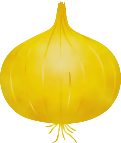 Yellow Onion Illustration