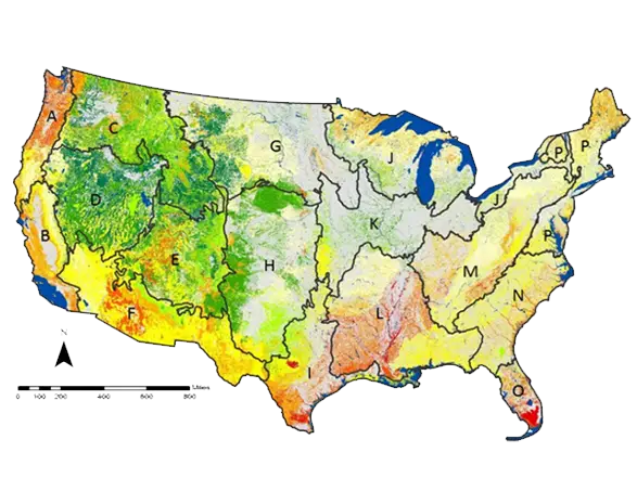 Map of USA with Geographical Details