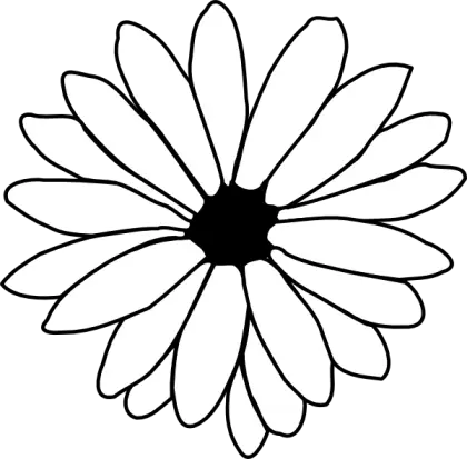 Outline of a Flower