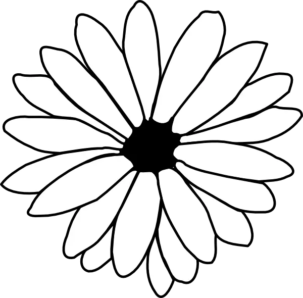 Outline of a Flower