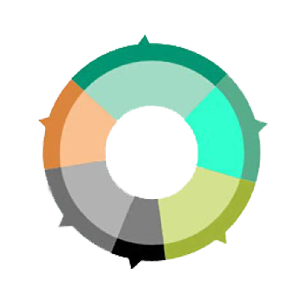 Colorful Circular Chart