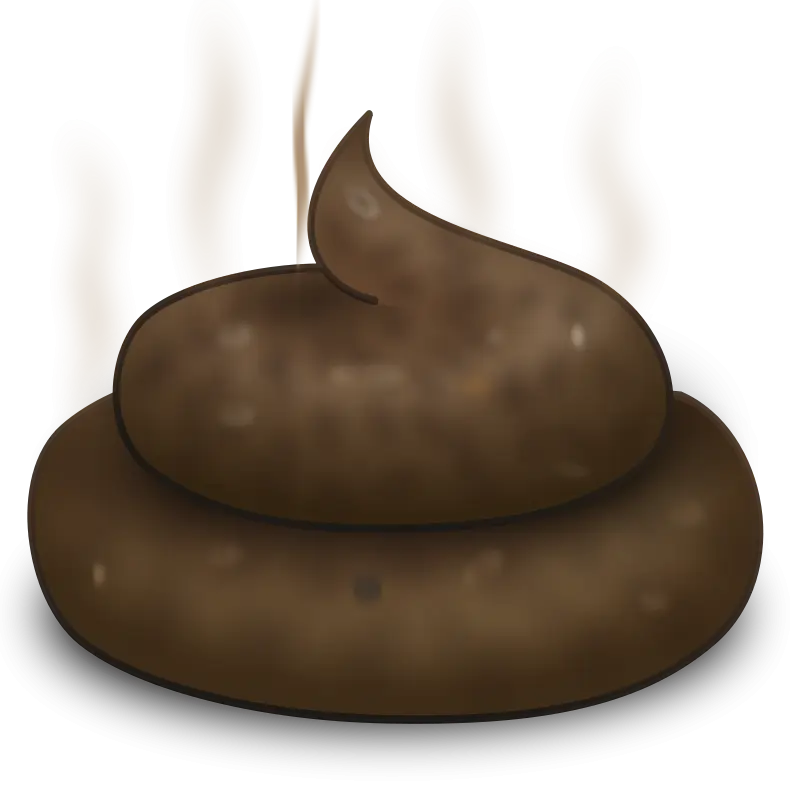 Playful Poop Emoji for Humorous Digital Use