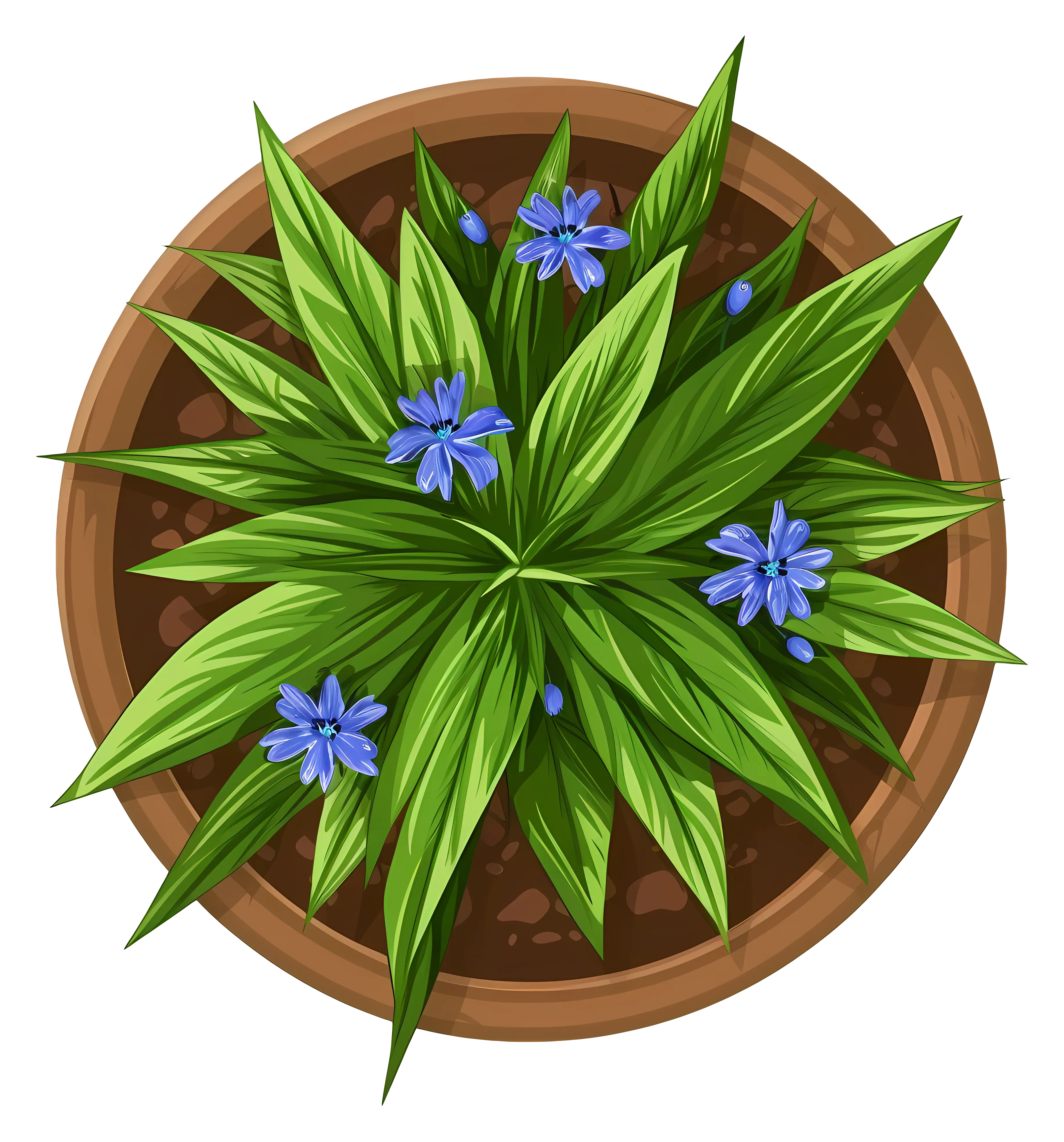 Potted Plant with Green Leaves and Blue Flowers