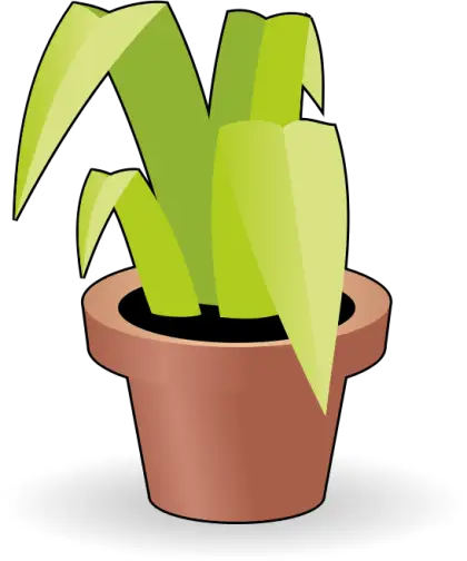 Green Potted Plant Illustration