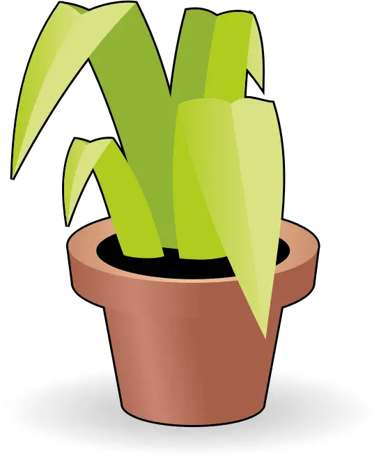 Green Potted Plant Illustration
