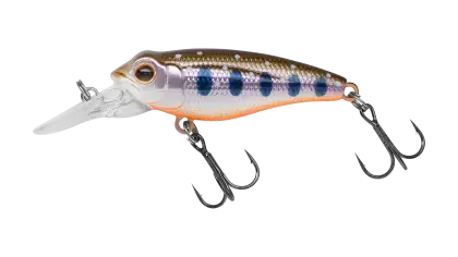 Modern Fishing Lure with Hooks