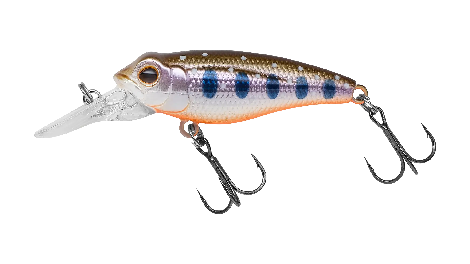 Modern Fishing Lure with Hooks