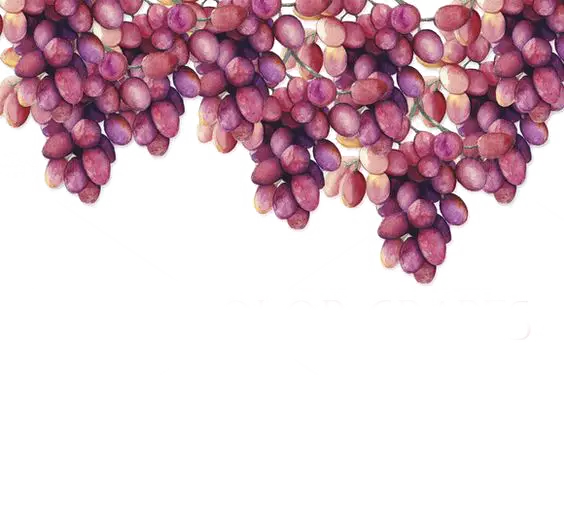 Bunch of Purple Grapes