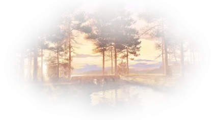 Soft Forest Landscape with Sunset Illustration