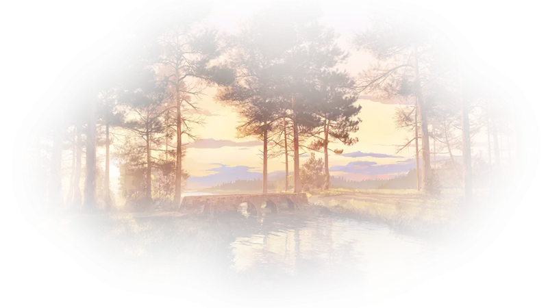 Soft Forest Landscape with Sunset Illustration