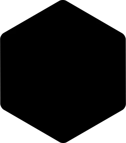 Black Hexagon Shape Design