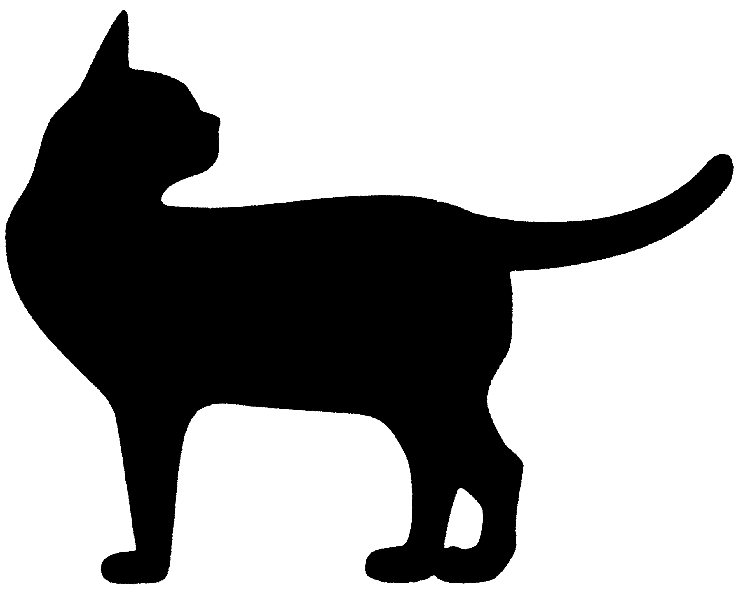 Black Silhouette of a Standing Cat