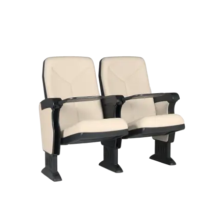 Dual Theater Seats with Armrests