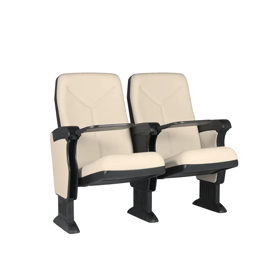 Dual Theater Seats with Armrests