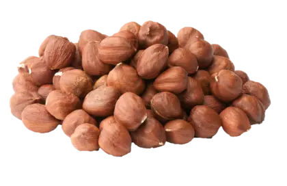 Pile of Fresh Hazelnuts for Snacking