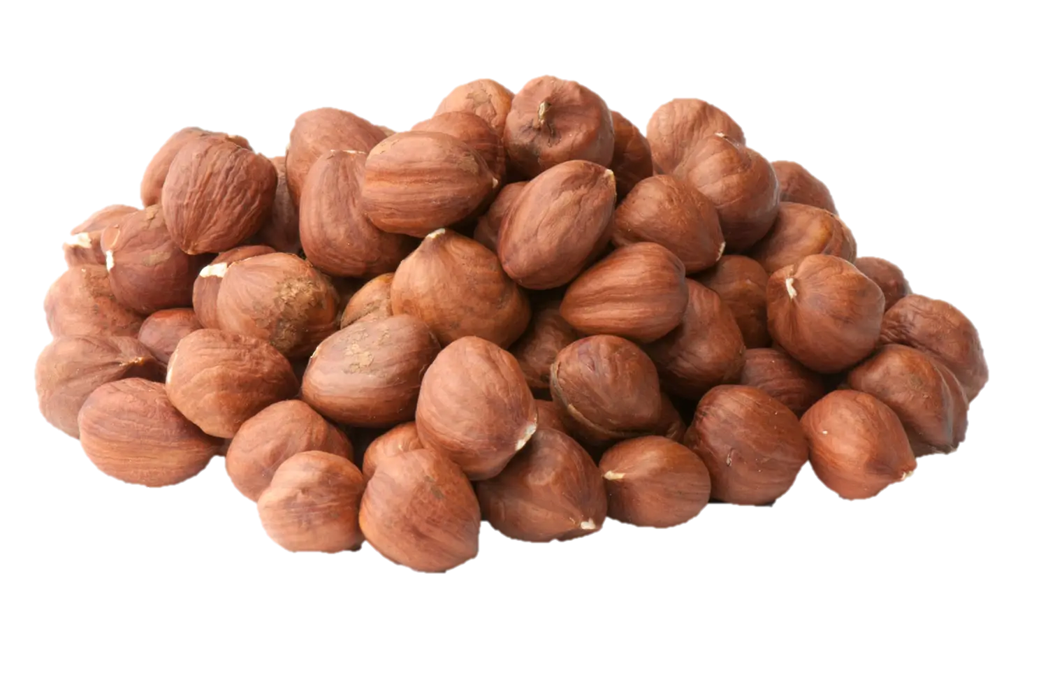 Pile of Fresh Hazelnuts for Snacking