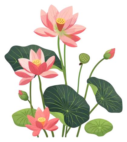 Illustration of Lotus Flowers and Leaves