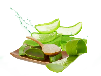 Aloe Vera Slices and Gel on Plate