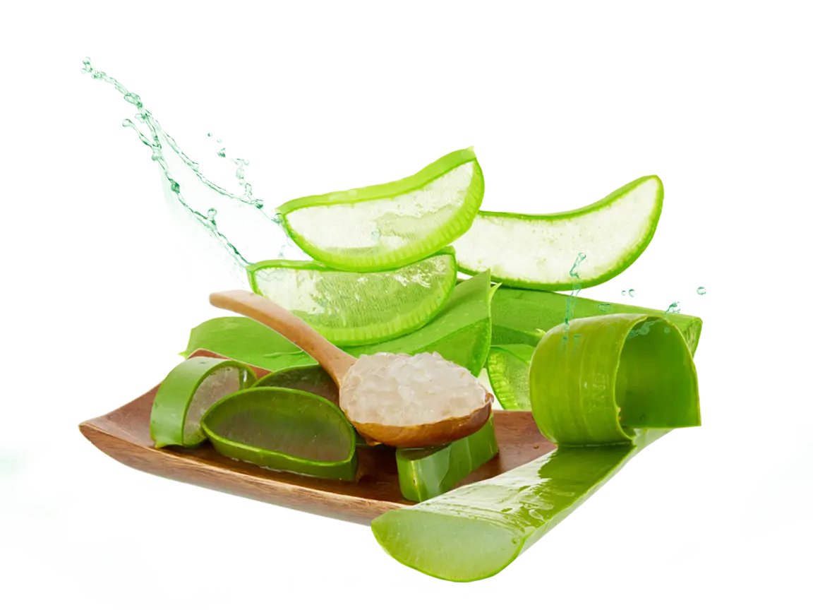 Aloe Vera Slices and Gel on Plate