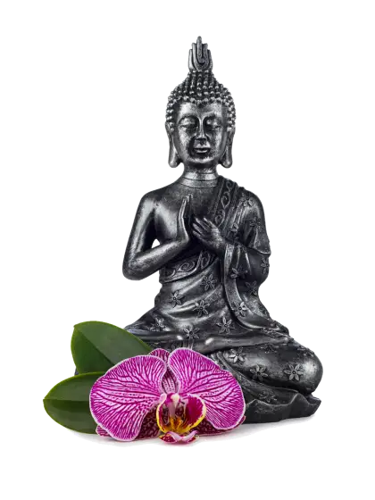 Buddha Statue with Orchid
