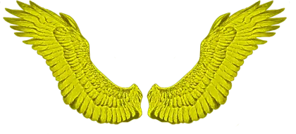 Golden Angel Wings Illustration
