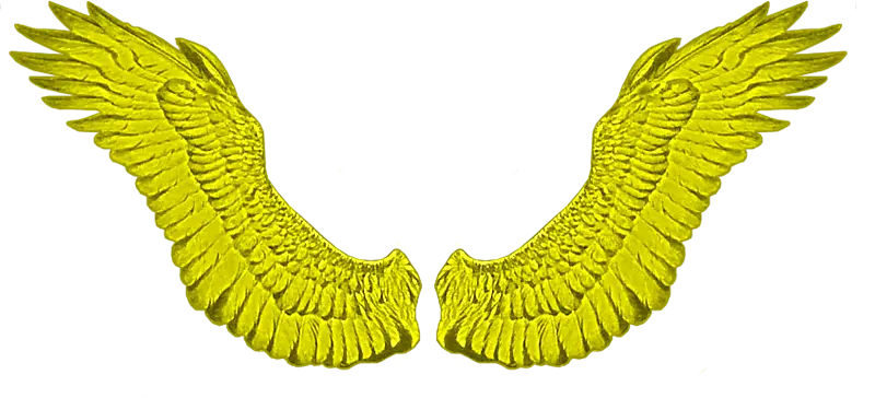 Golden Angel Wings Illustration