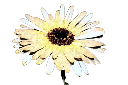 Yellow Daisy Flower Artwork
