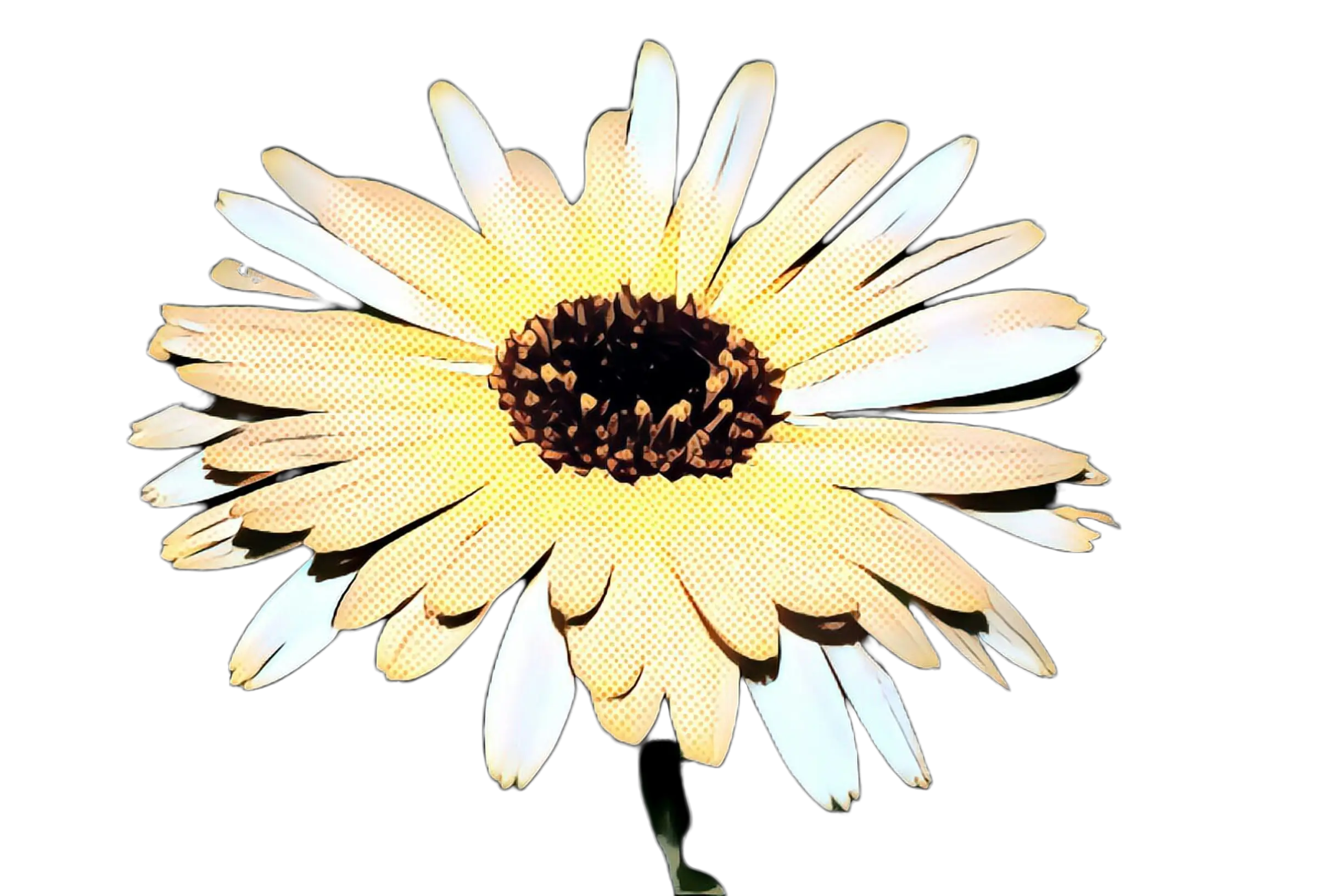 Yellow Daisy Flower Artwork