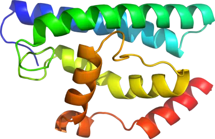 3D Protein Structure Illustration for Science