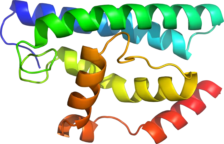 3D Protein Structure Illustration for Science