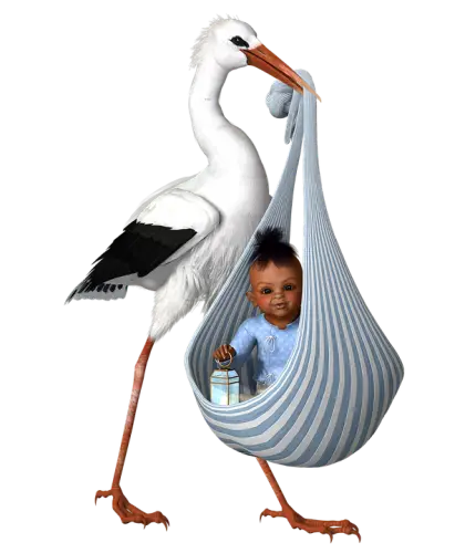 Stork Carrying Baby in Bundle