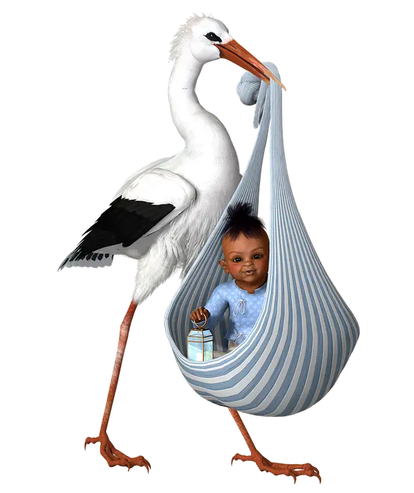 Stork Carrying Baby in Bundle