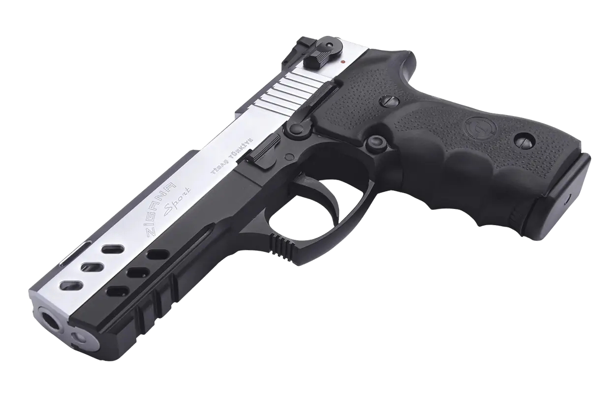 Compact Black and Silver Handgun