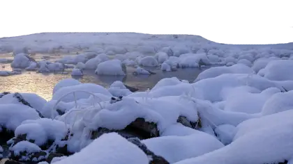 Snowy Winter Landscape