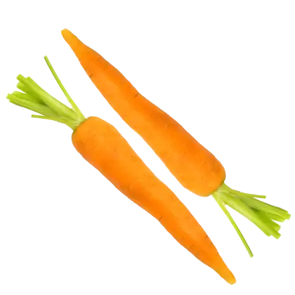 Fresh Orange Carrots