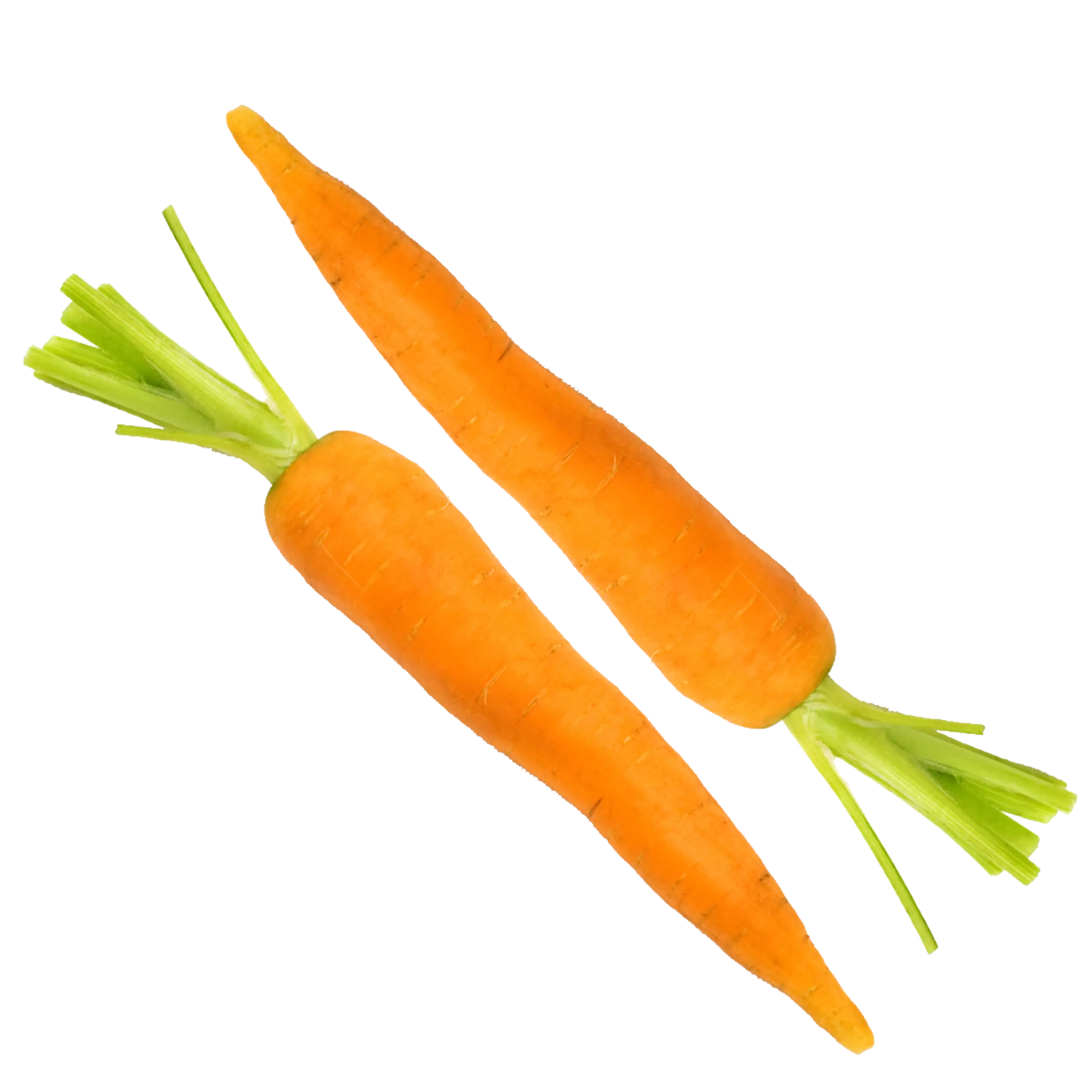 Fresh Orange Carrots