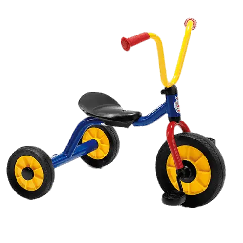 Colorful Tricycle for Kids