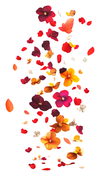 Colorful Flower Petals in Motion