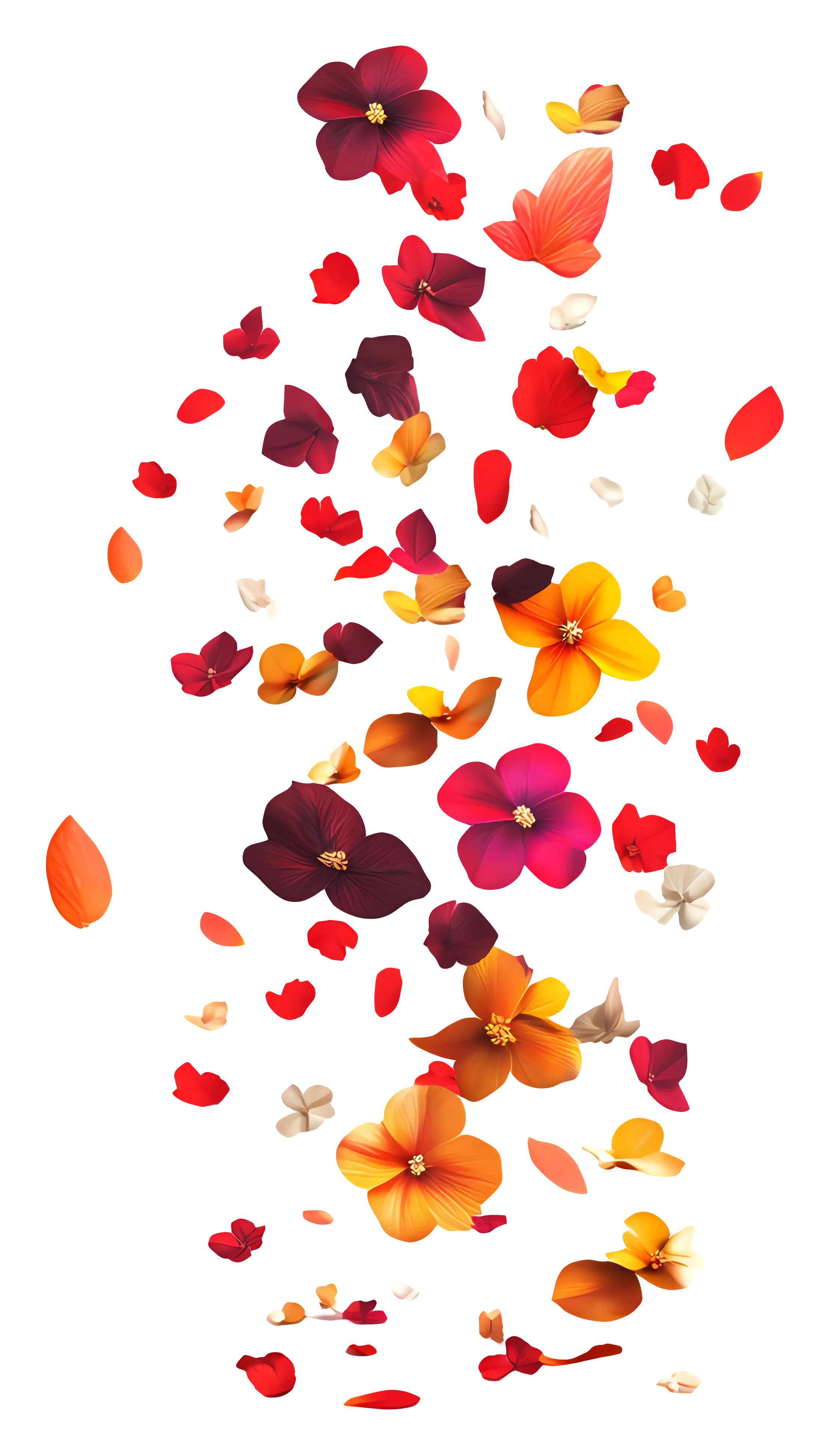 Colorful Flower Petals in Motion