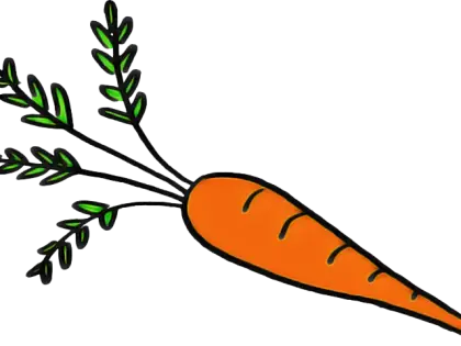 Orange Carrot with Green Stems