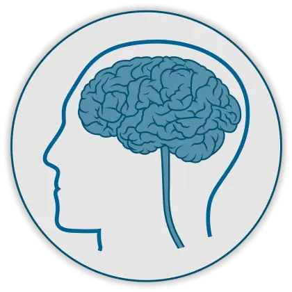 Brain Illustration in Human Head Silhouette