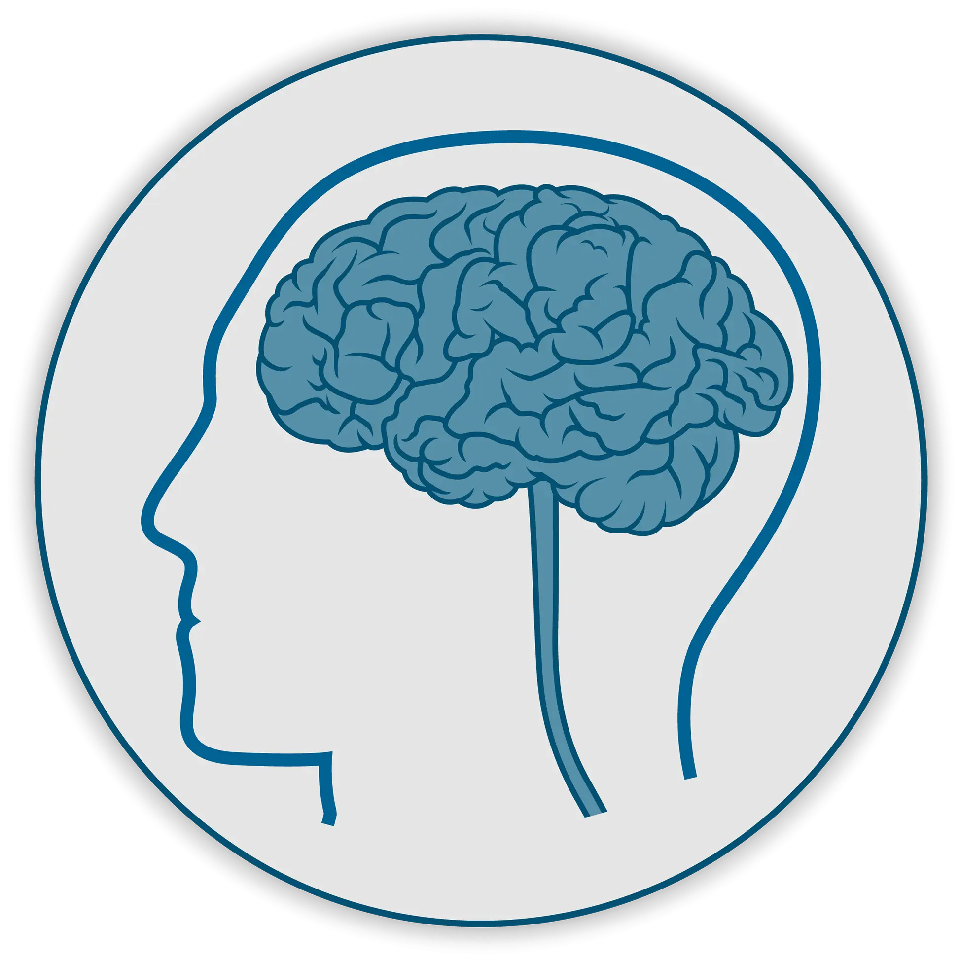Brain Illustration in Human Head Silhouette