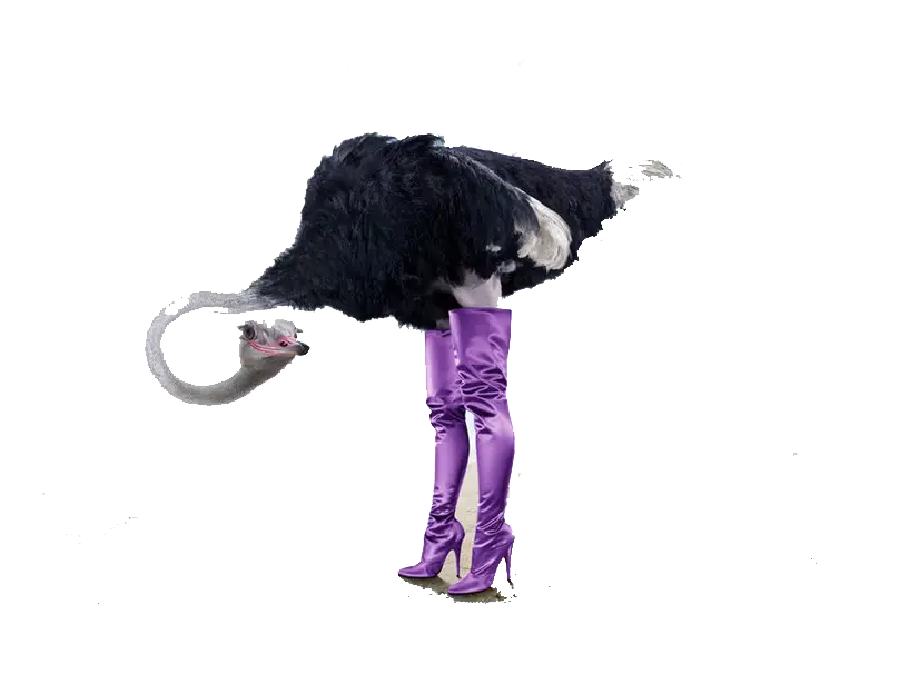 Ostrich Wearing Purple Boots