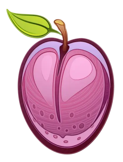 Purple Plum with Leaf Illustration