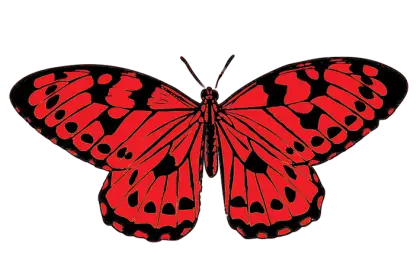 Red Butterfly with Black Pattern Illustration