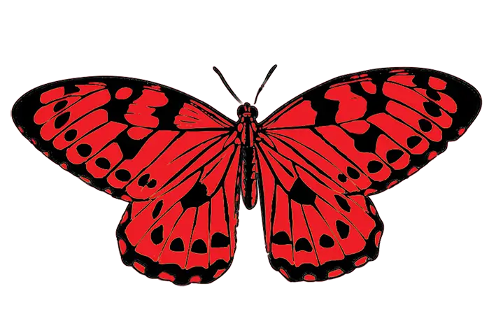 Red Butterfly with Black Pattern Illustration