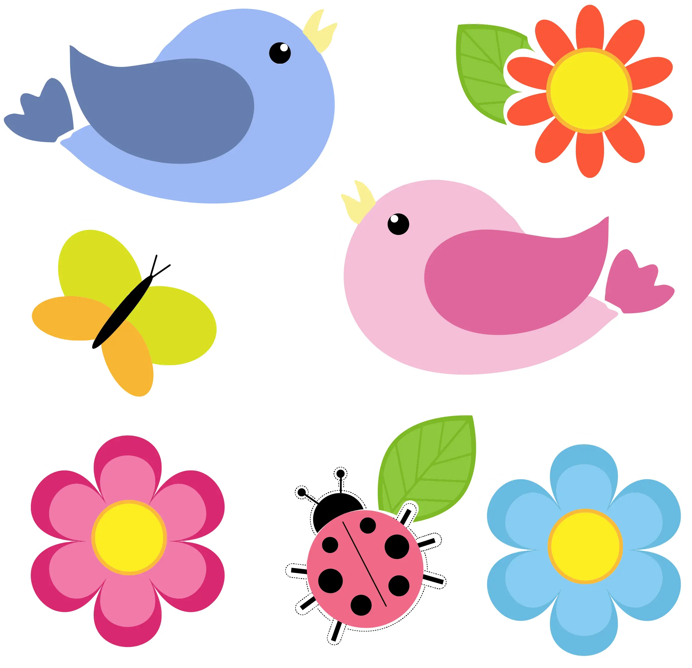 Colorful Birds, Flowers, and Insects Illustration