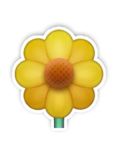 Yellow Flower with Petals