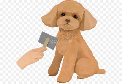 Cartoon of Grooming a Dog