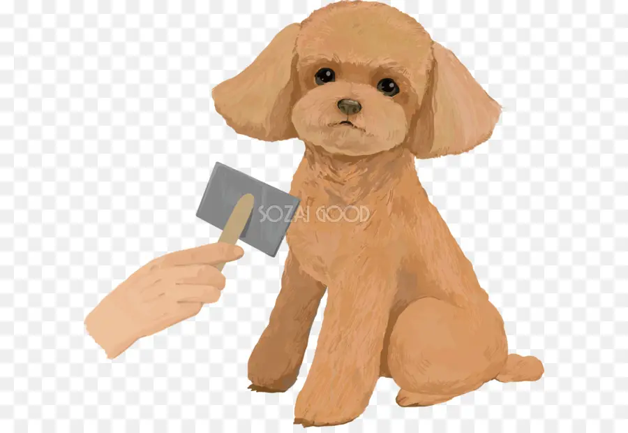 Cartoon of Grooming a Dog